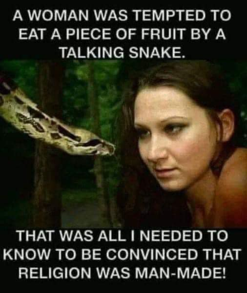 Regulator🇺🇸 tweet media