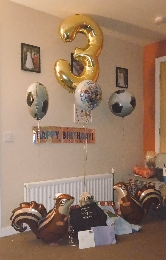 Louisem55117243's tweet image. No cause how is she 3 in the morning 😭

I cannot wait for her to see this in the morning ❤️❤️❤️❤️

#happybirthdayamber #squirrelballoons #threeyearold #ourprincess #timegoestoofast #threenager