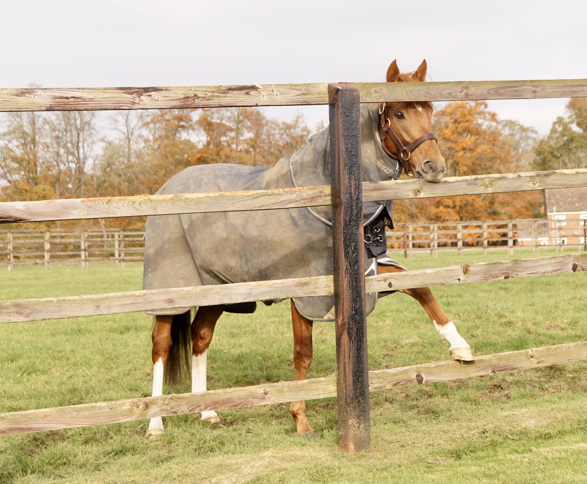 GerryC🏇🏾 tweet media