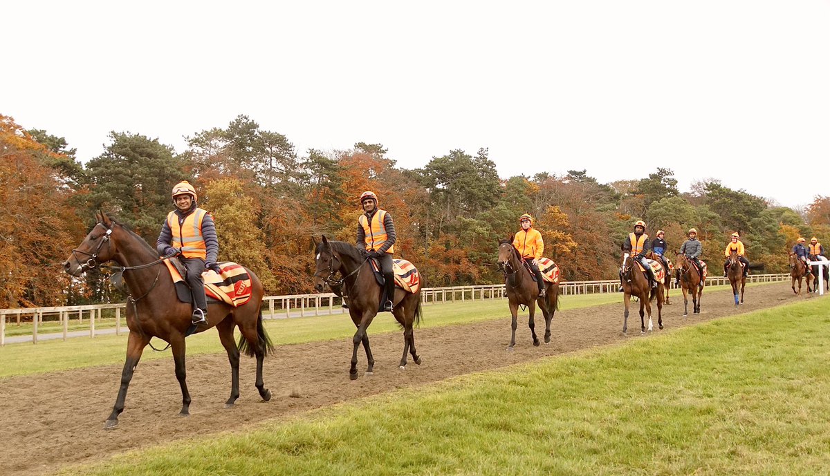 GerryC🏇🏾 tweet media