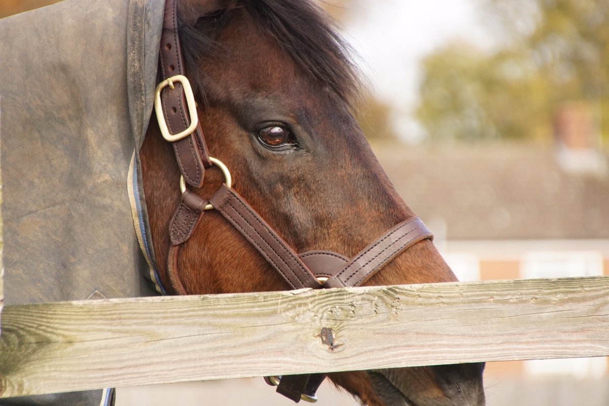 GerryC🏇🏾 tweet media