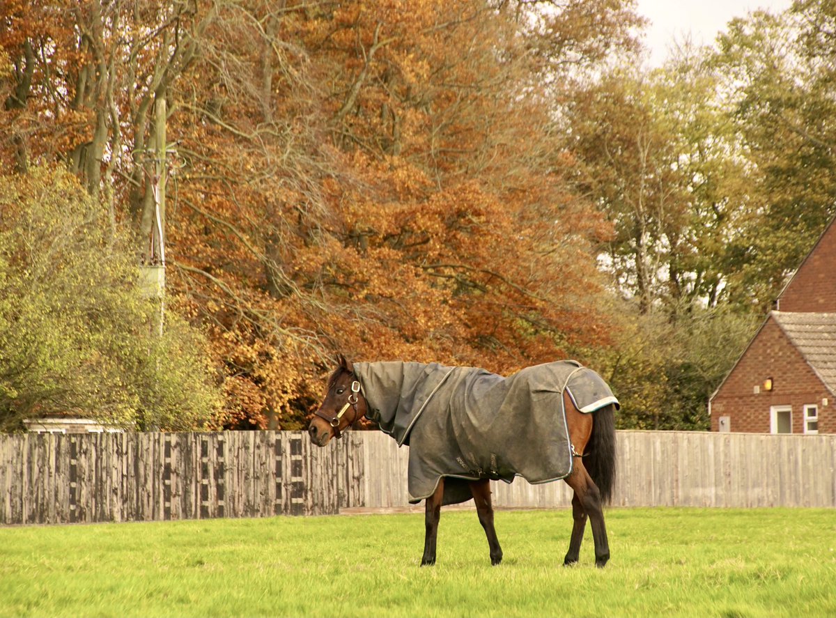 GerryC🏇🏾 tweet media