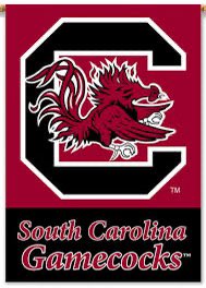 williamvaughn99's tweet image. #AGTG After a great conversation with @CoachSElliott I am blessed to receive my 11th D1 offer from @GamecockFB

@CoachSBeamer @CoachYurachek @DarrenUscher @TrevorTwe13
 @DC15sports @coachherron @Coach_JBolt @TDBell29 @KingsMountainFB 
#offered #hsfootball #spursup