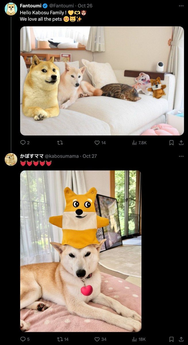 CyberkidzSol's tweet image. We are biding $shibu the Solana Doge mascot by @Fantoumi