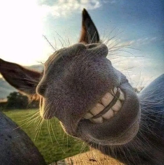 experie01's tweet photo. Yoo it's Saturday 😁 https://t.co/wxyTbIoB6U