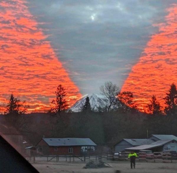 Lawson Patterson 💕 tweet media