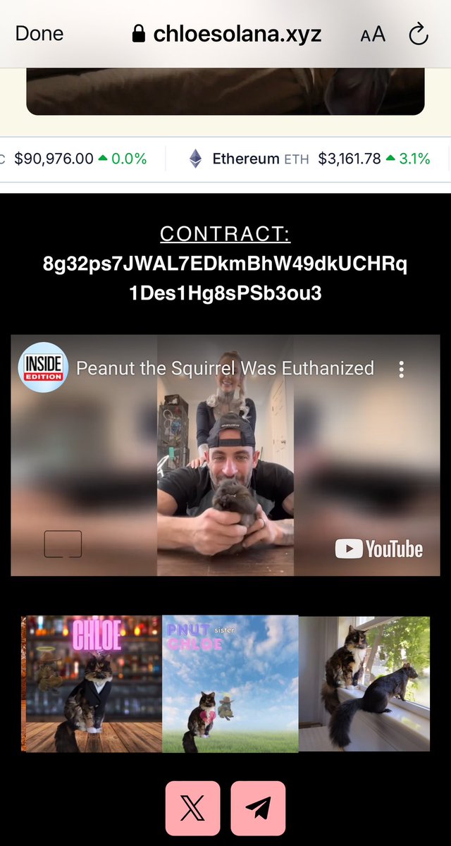 Dannylikehats's tweet image. $chloe pnuts sister