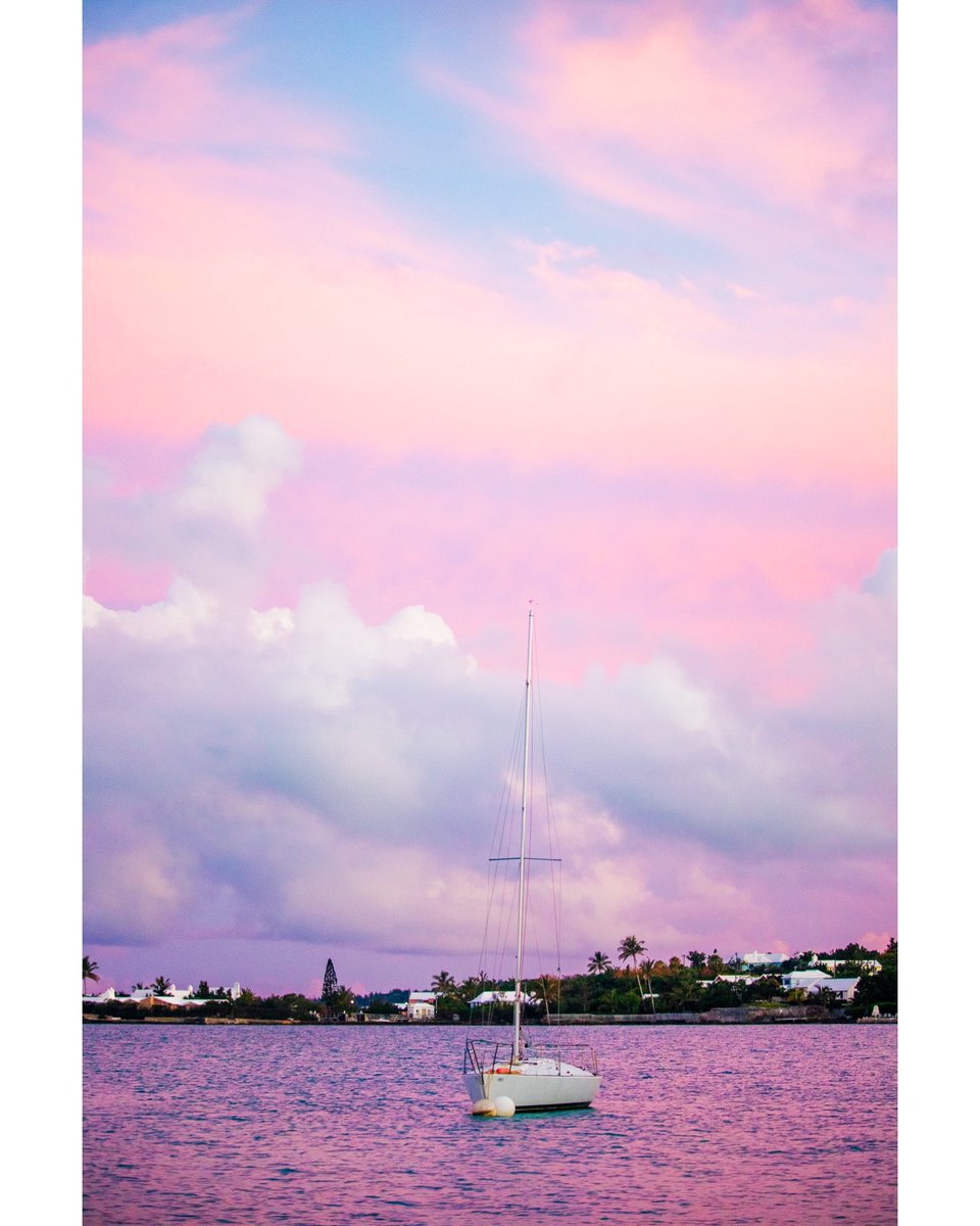 lemomentphotography (@lemoment441) on Twitter photo 