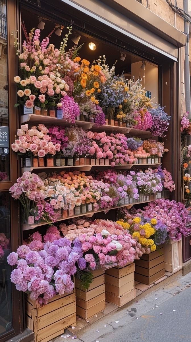 Colorful flowers