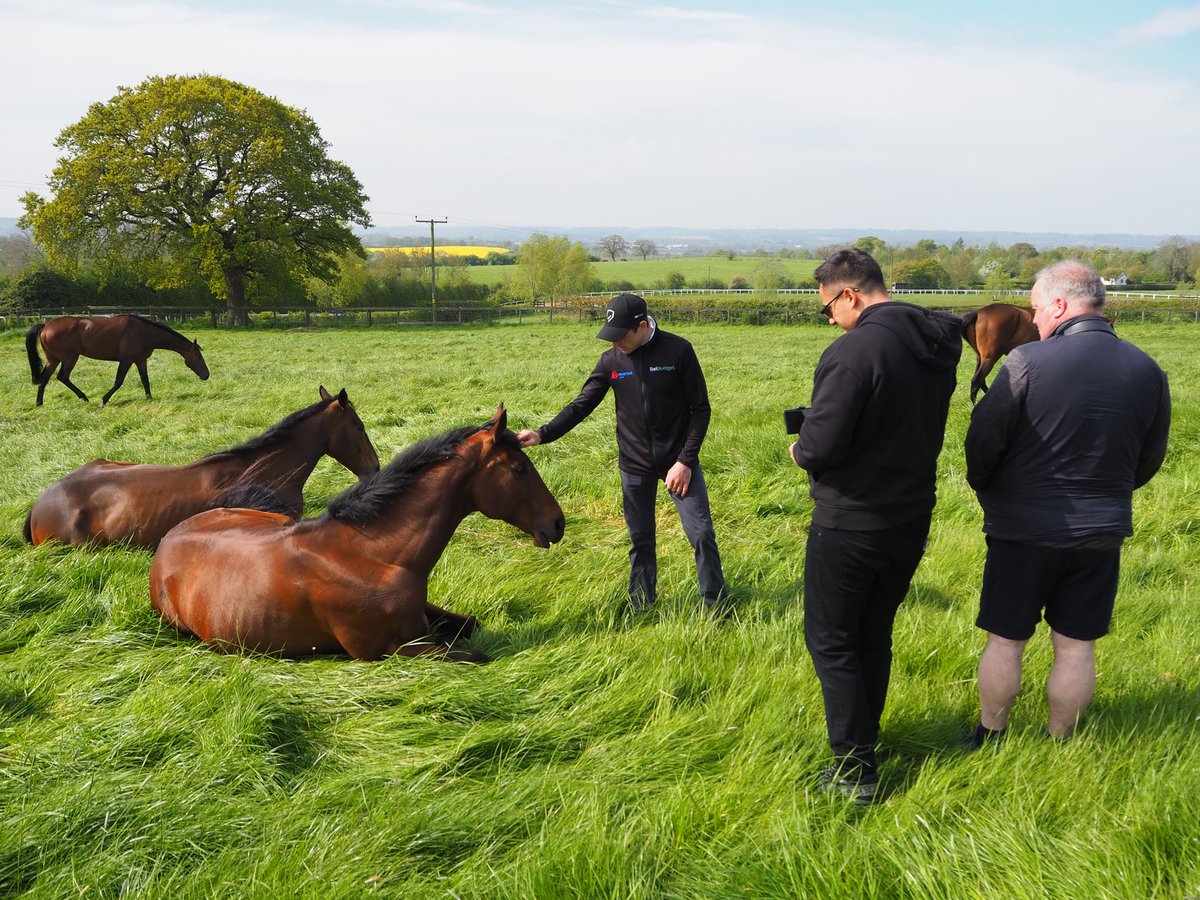 racingblogger's tweet image. 💷 IF HARRY SKELTON Rides A Treble On ACE OF SPADES, CALICO &amp;amp; BE AWARE at Cheltenham Tomorrow: 😍

I'll give £1,000 Cash to One of YOU Lucky People! 🍻 💷 

To Enter: 👇

1️⃣ RT This Tweet
2️⃣ Like This Tweet
3️⃣ Follow @racingblogger

GOOD LUCK EVERYONE 🎉

#Cheltenham #Win #Horse