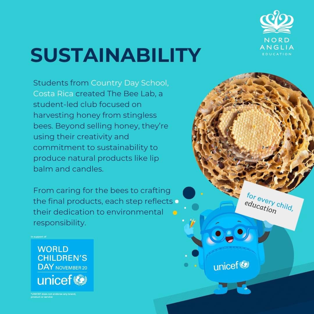 BISHouston's tweet image. 👩🎓✨ Students making a difference, one idea at a time! Today’s spotlight is on their eco-friendly initiatives, showcasing creativity and care for our planet. Together, they’re building a brighter future for all children. 🌱
Let’s keep the spirit of #NAEWorldChildrensDay alive! 💙