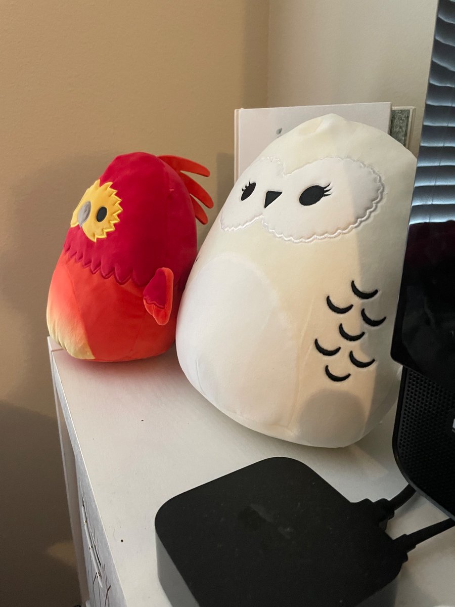 My wife had no interest in Harry Potter and had never seen it I made her  watch the movies with me and now we have Hedwig and Fawkes on our TV table, image size:900x1200