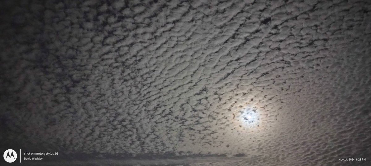 WeekleyMike's tweet image. Unbelievable full moon with cirrus cumulus clouds in Central Florida on the east coast last night. If anyone can clarify the types of clouds these are please comment. 🌴🌊