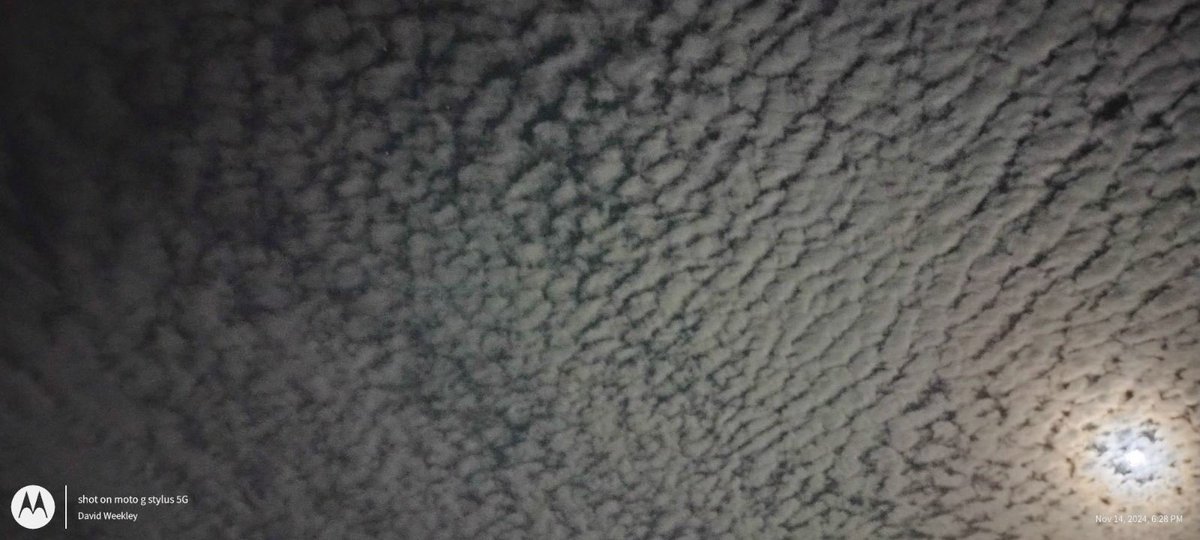 WeekleyMike's tweet image. Unbelievable full moon with cirrus cumulus clouds in Central Florida on the east coast last night. If anyone can clarify the types of clouds these are please comment. 🌴🌊