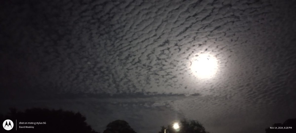 WeekleyMike's tweet image. Unbelievable full moon with cirrus cumulus clouds in Central Florida on the east coast last night. If anyone can clarify the types of clouds these are please comment. 🌴🌊