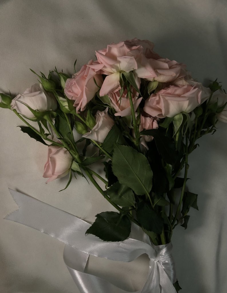 آلاء tweet media