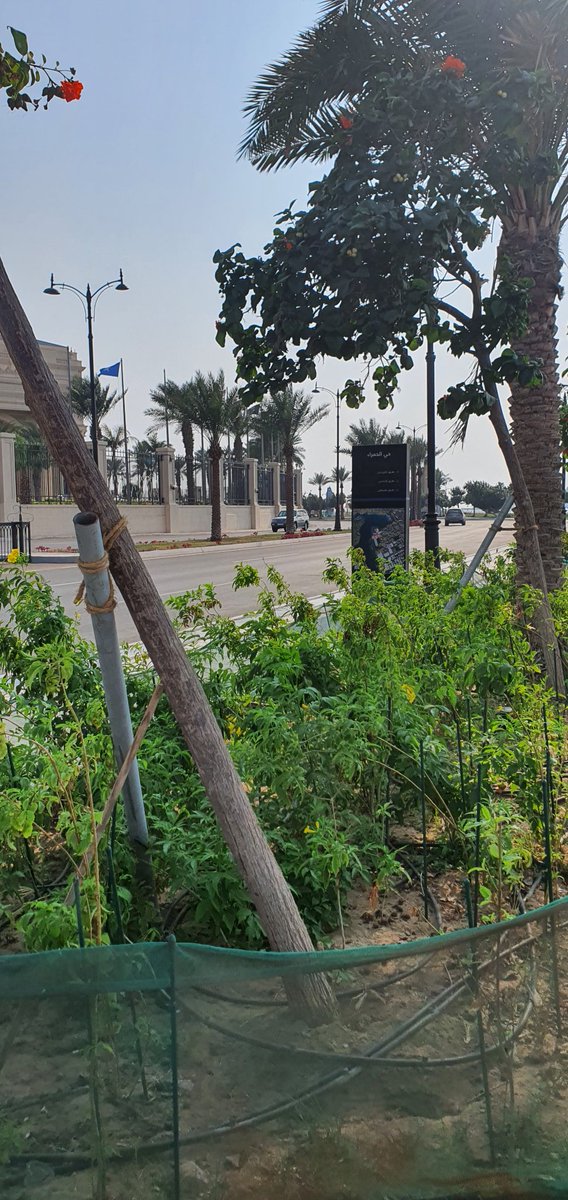 imd1420's tweet photo. #RSSA2024
سعدت بحضور المؤتمر السنوي للجمعية السعودية للأشعة ☢️🇸🇦 كانت تجربة مثرية وان شاء الله تكرر في السنوات القادمة💙 https://t.co/1ZqvFWqBQz