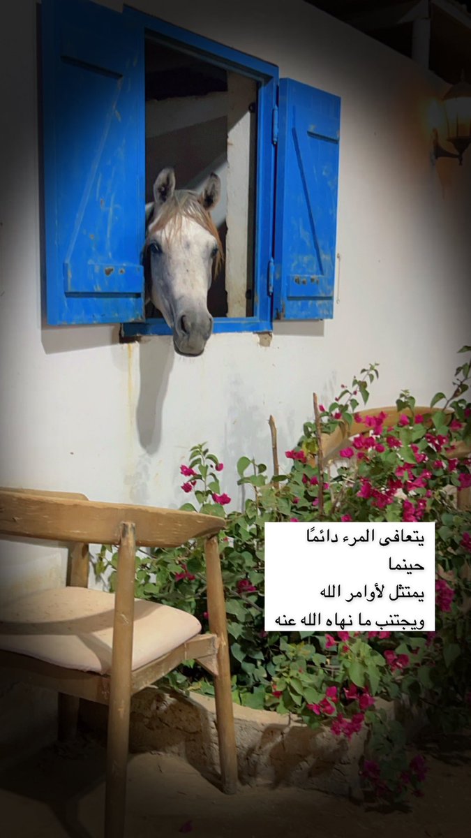 هنا يتعافى المرء👇🏻