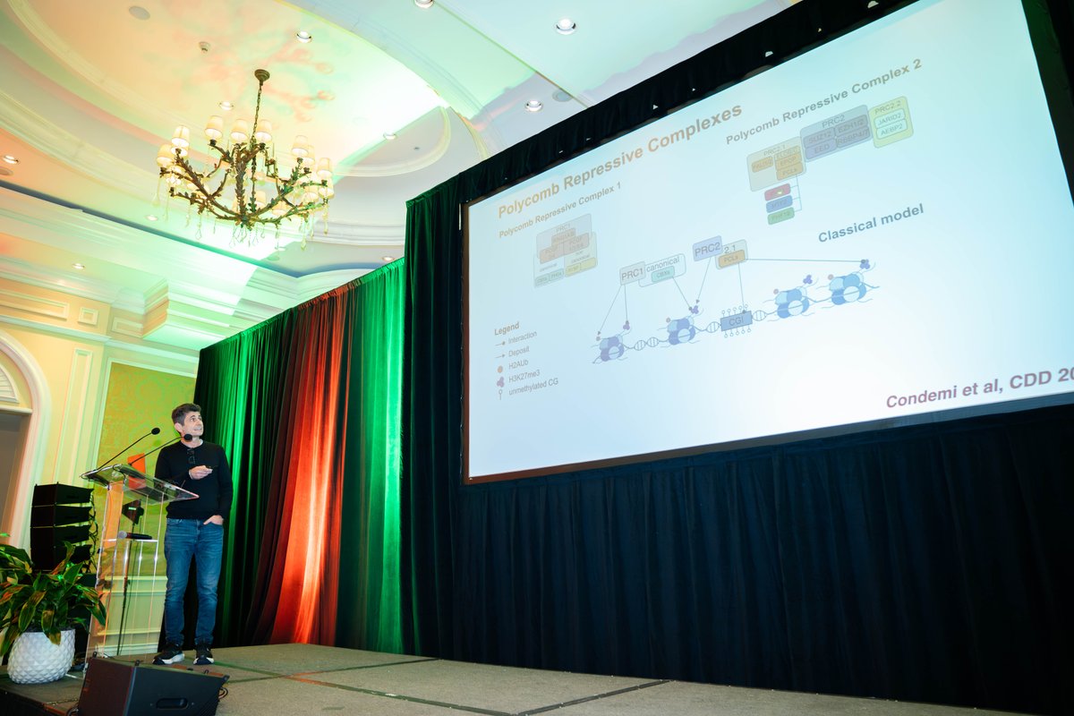 Sylvester Comprehensive Cancer Center (@sylvestercancer) on Twitter photo Dr. Luciano Di Croce (<a href="/ludicroce/">Luciano Di Croce</a>) explored the intricate dynamics of chromatin functions in cell differentiation and cancer at #MiamiEpigenetics. 🔬 #CancerResearch Dr. Luciano Di Croce (<a href="/ludicroce/">Luciano Di Croce</a>) explored the intricate dynamics of chromatin functions in cell differentiation and cancer at #MiamiEpigenetics. 🔬 #CancerResearch