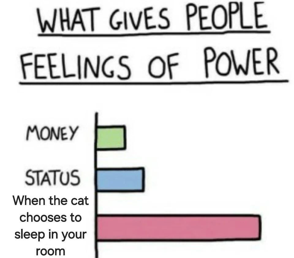 WholesomeMemes (@wholesomememe) on Twitter photo 