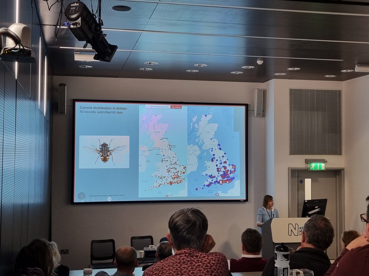 Ryan Mitchell tweet media