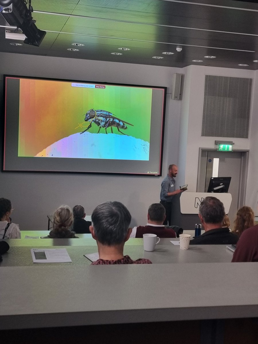 Ryan Mitchell tweet media