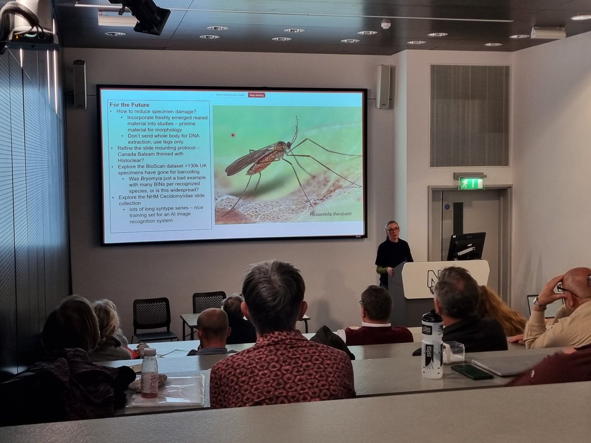 Many excellent talks at the Dipterist Day at the NHM London. A diverse range of talks from Diptera migration, Muscidae study group, fossil diptera taxonomy and studying dark taxa - Cecidomyiidae. It was great to catch up with diptera folk. 😁