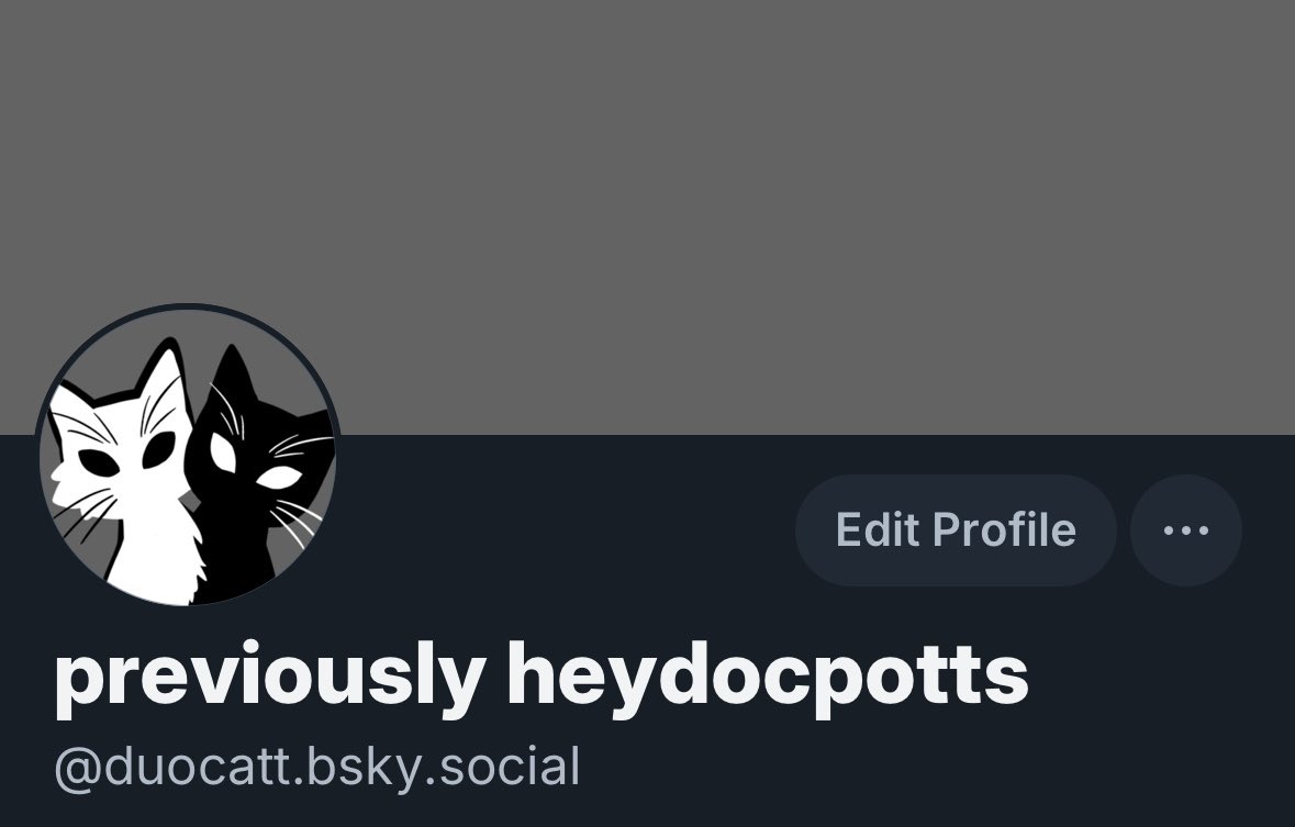 _duocatt's tweet photo. hi i changed all my crap, end of an era for @ heydocpotts. u can still find me on tumblr, also bluesky. idk if i'll post new art here bc of the ai issue??? confused abt it tbh so 🤷‍♂️ https://t.co/mR6GqNbdun