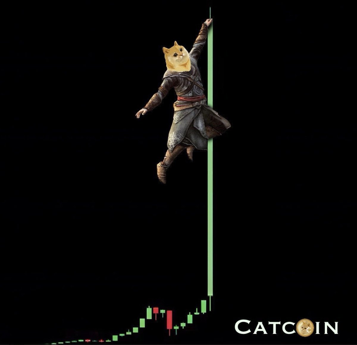 catcoin's tweet image. #Catcoin