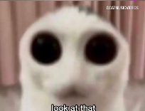 pcrunn's tweet image. 