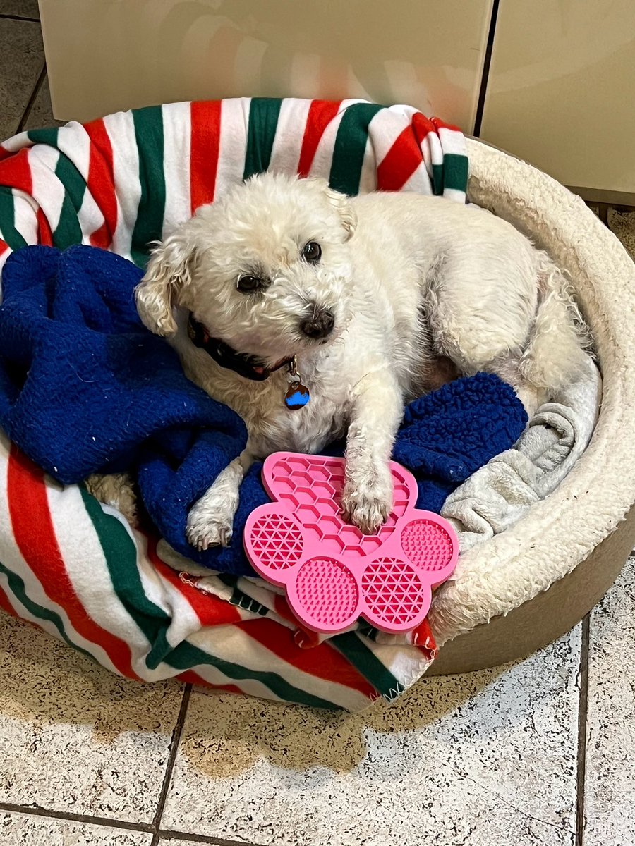 Howard Eskin tweet media