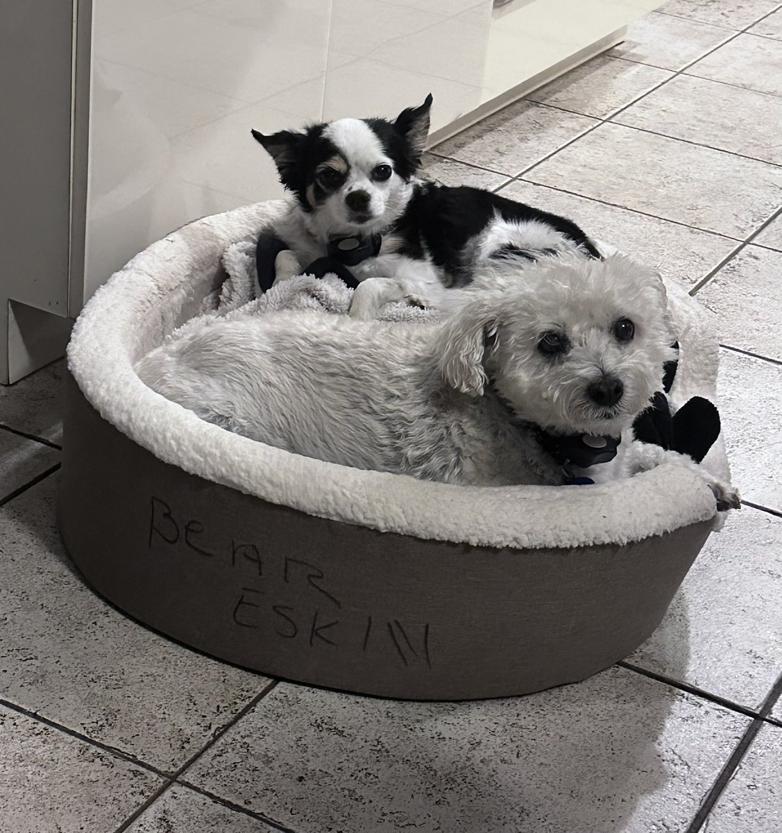 Howard Eskin tweet media