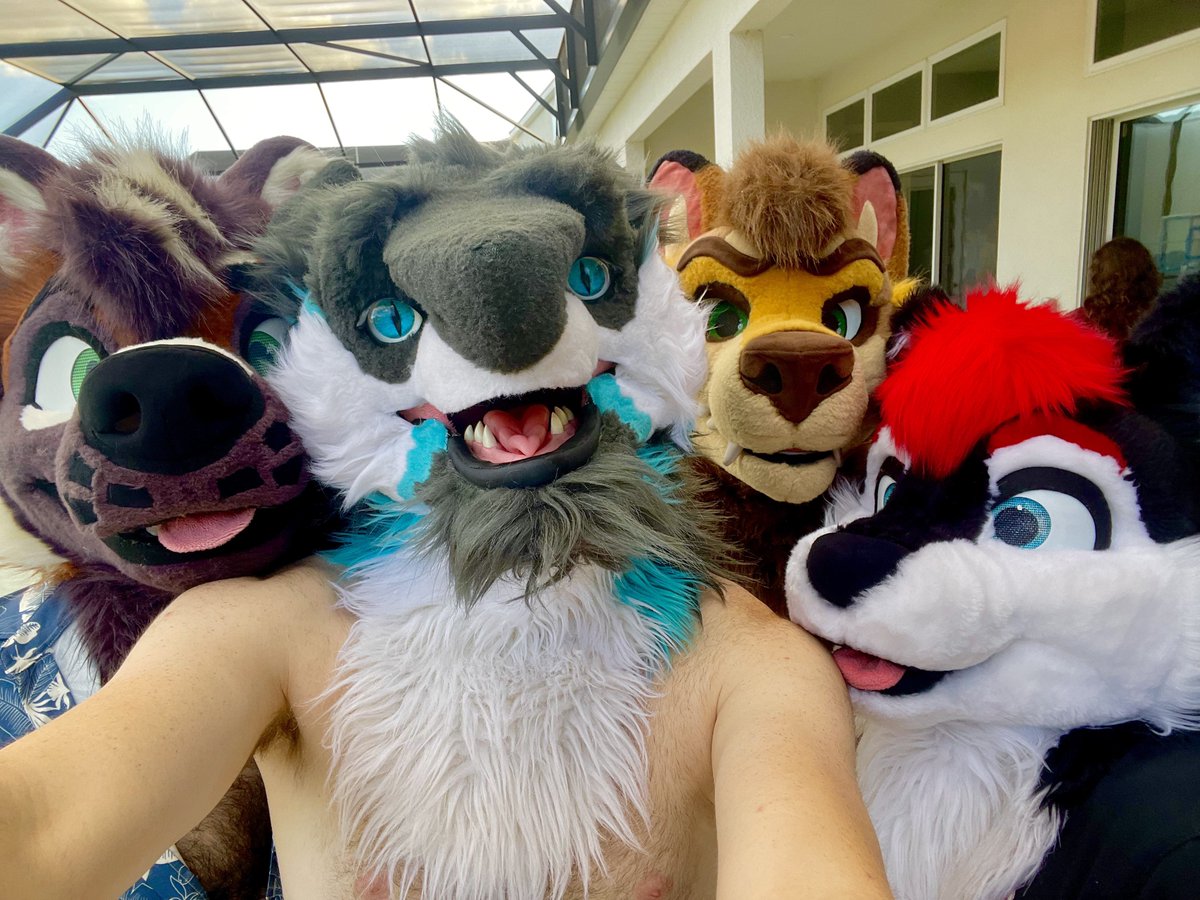 Nebs_Sergal's tweet image. It’s Divication with these sexy animals! 💙@KumoAkita @Yeenpits @HarleyHoosk