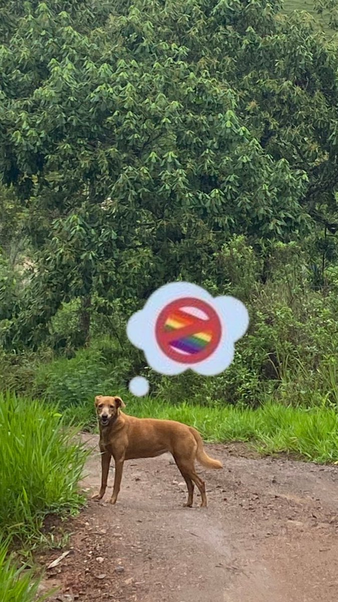 <a href="/eumayar4_/">🌞</a> Fiz uma coisa kkkkk