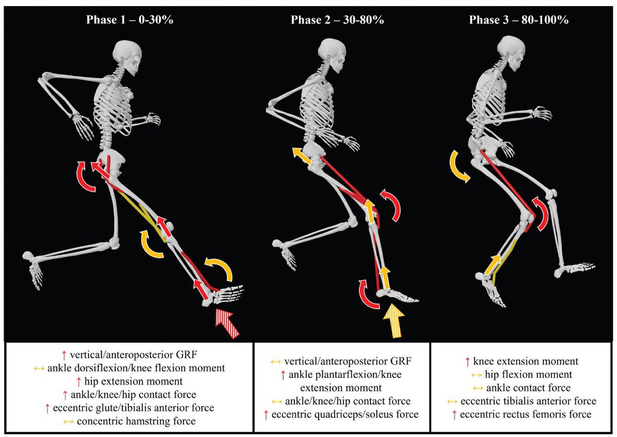 Damian Harper, PhD (@dhmov) on Twitter photo 🚨 Just published in <a href="/JSportsSci/">Journal of Sports Sciences</a> …
FORCES experienced across different levels of the musculoskeletal system during horizontal DECELERATIONS
Delighted to contribute to this novel study led by <a href="/jasper_verheul/">Jasper Verheul</a> with <a href="/mrobbo18/">marobinson</a>
Open access ➡️ tandfonline.com/doi/epdf/10.10… 🚨 Just published in <a href="/JSportsSci/">Journal of Sports Sciences</a> …
FORCES experienced across different levels of the musculoskeletal system during horizontal DECELERATIONS
Delighted to contribute to this novel study led by <a href="/jasper_verheul/">Jasper Verheul</a> with <a href="/mrobbo18/">marobinson</a>
Open access ➡️ tandfonline.com/doi/epdf/10.10…