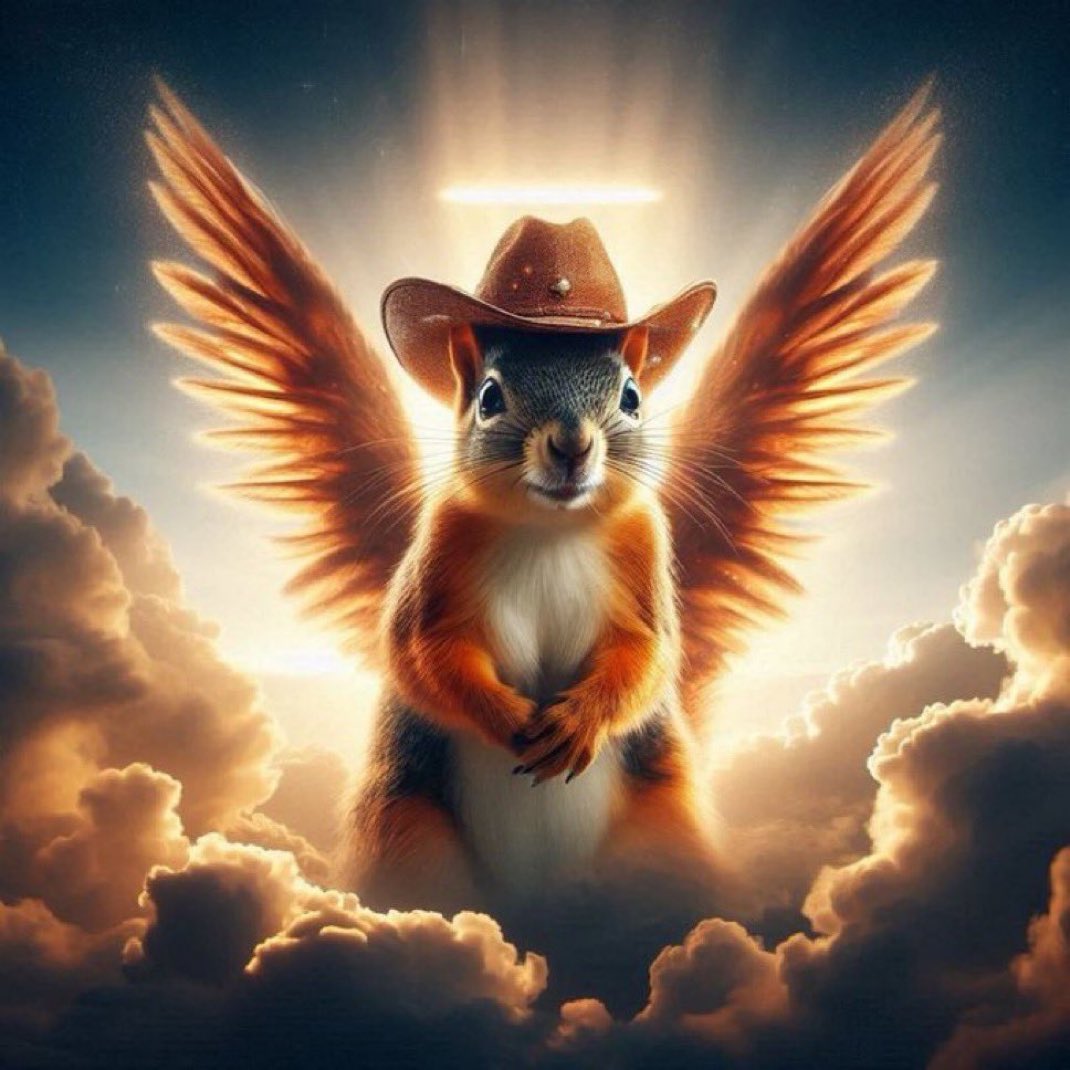 GeneralSHIB tweet media