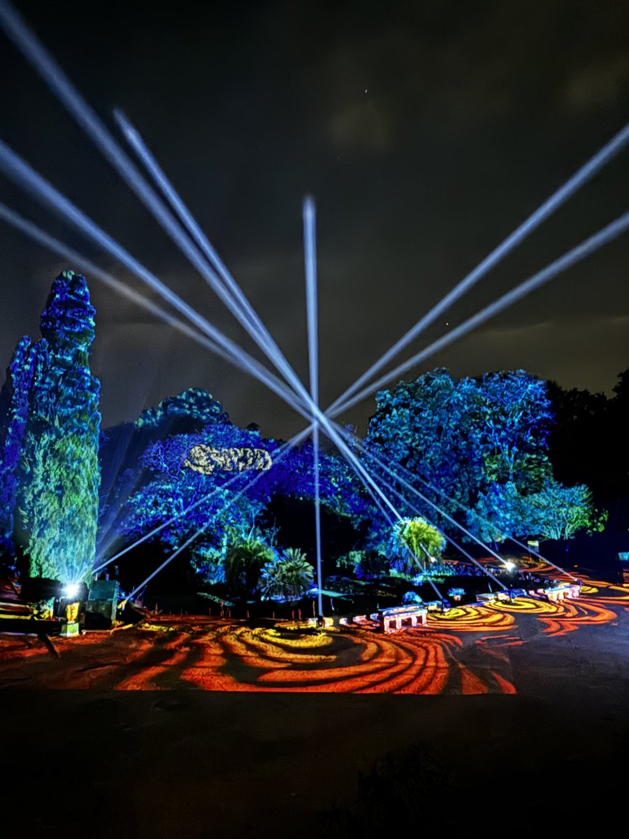 Amazing 🤩 <a href="/montpellier_/">Ville de Montpellier</a>