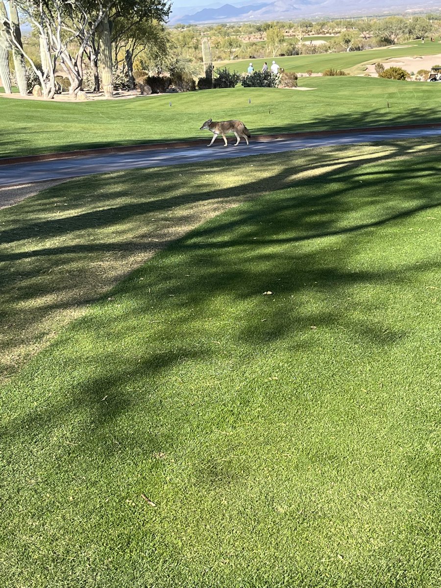 Nick_Dailey's tweet image. We-ko-pa Segura