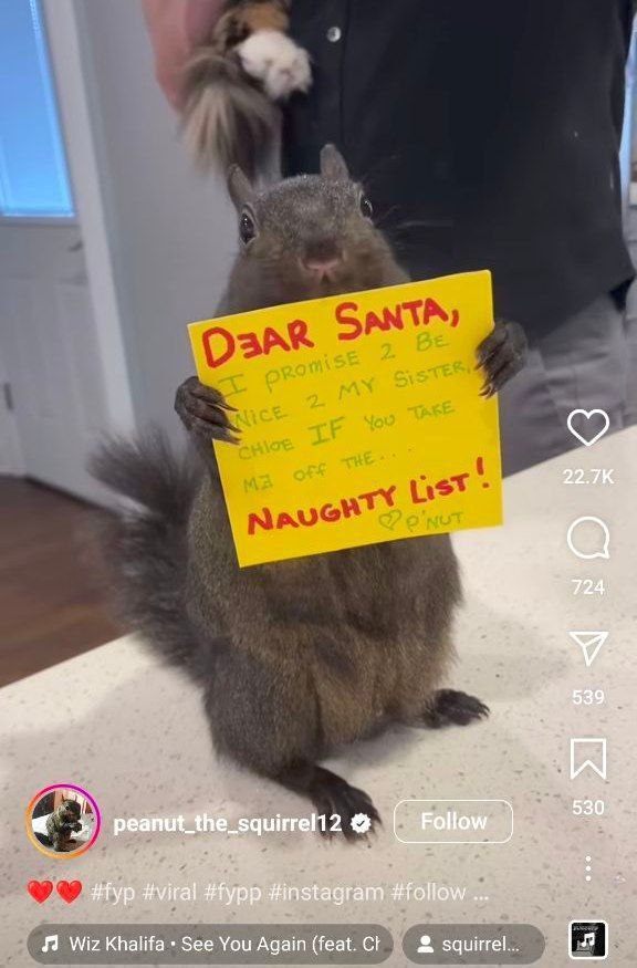 eth_amun's tweet image. gm

$Chloe @peanutchloesol #chloe