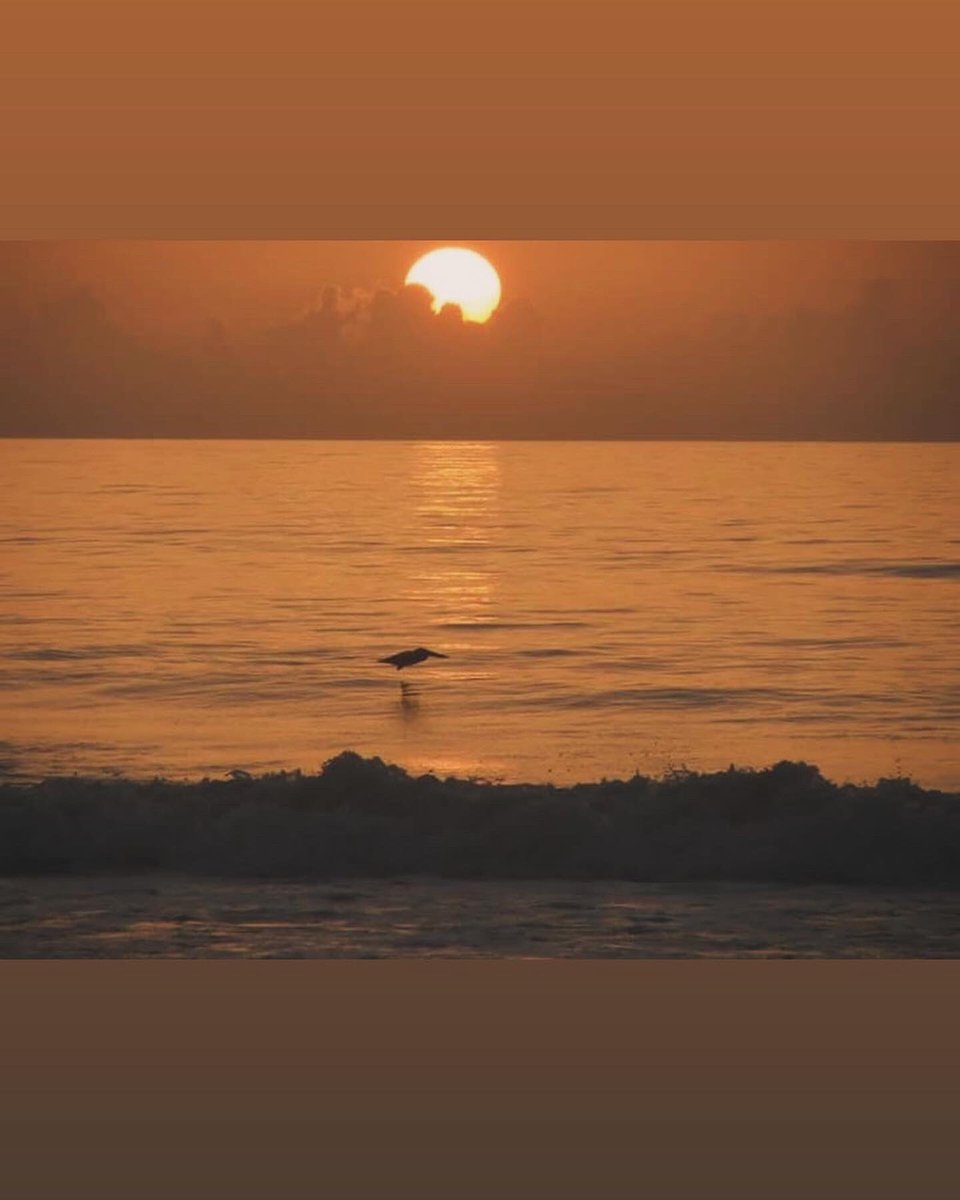 donald9105689876 tweet media