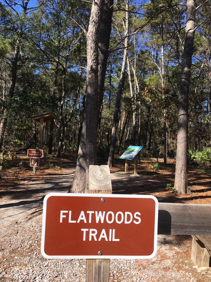 com_oceania's tweet image. #accflhikes #naturalflorida #floridastateparks