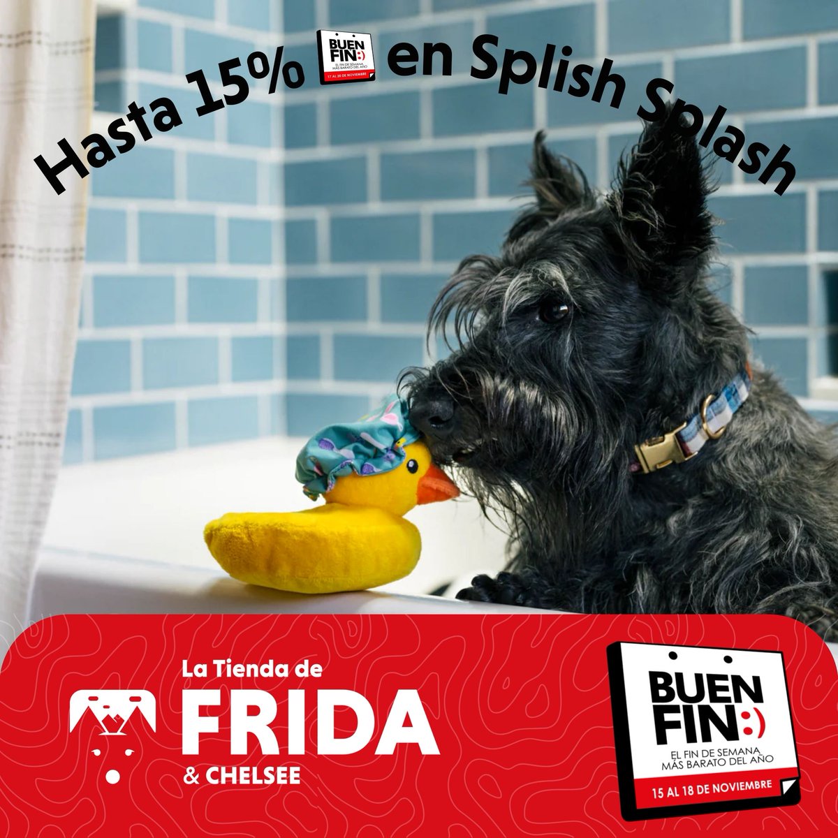🛁🐶 ¡Colecciona todos los juguetes Splish Splash de Pet Play!
✨ Tina 🛁, pato 🦆, cepillo, secadora 💜 y más.

🎉 Hasta 15% de descuento este Buen Fin.
➡️ latiendadefrida.com/collections/ll…

⏳ Solo del 15 al 18 de noviembre.
#SplishSplash #ColecciónDePeluches #BuenFin