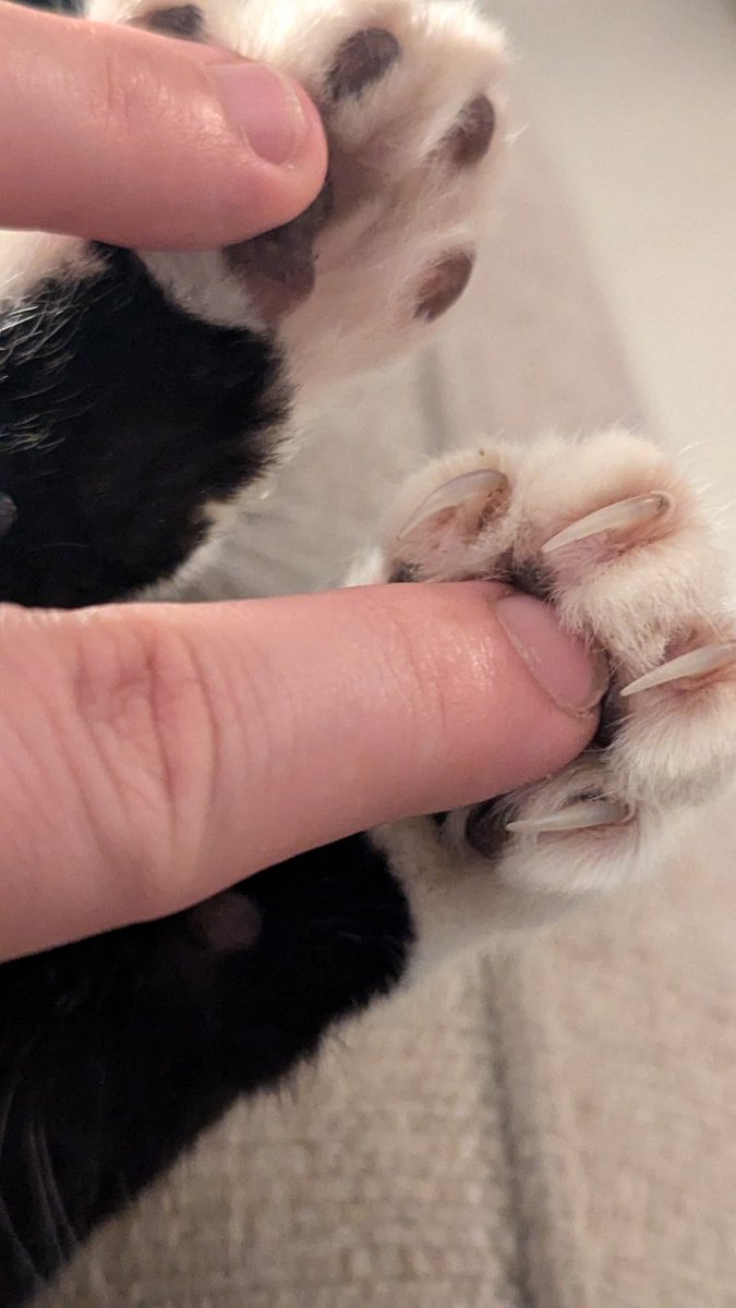 Wardy™ tweet media