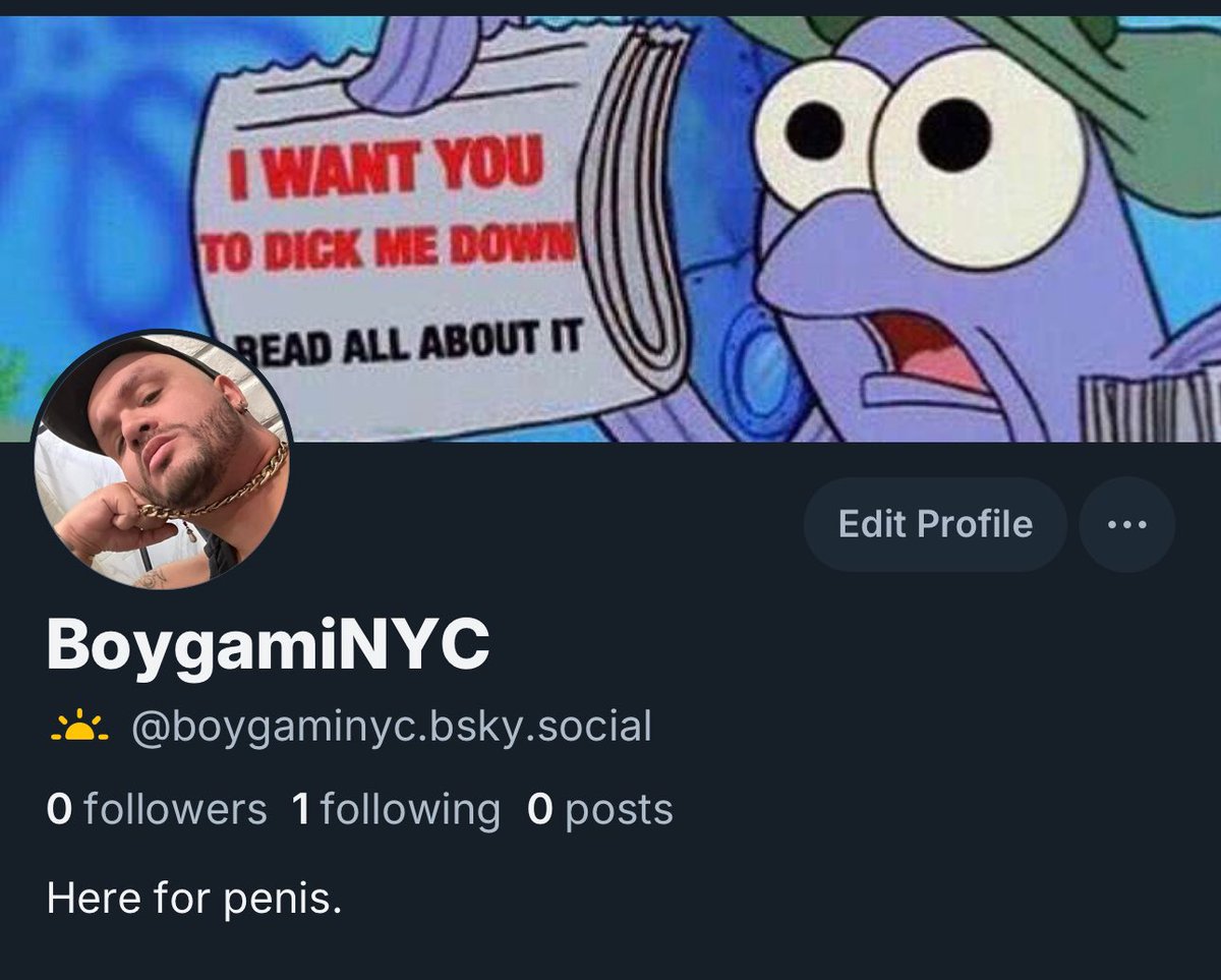 Also go follow me on other stuff 

bsky.app/profile/boygam…