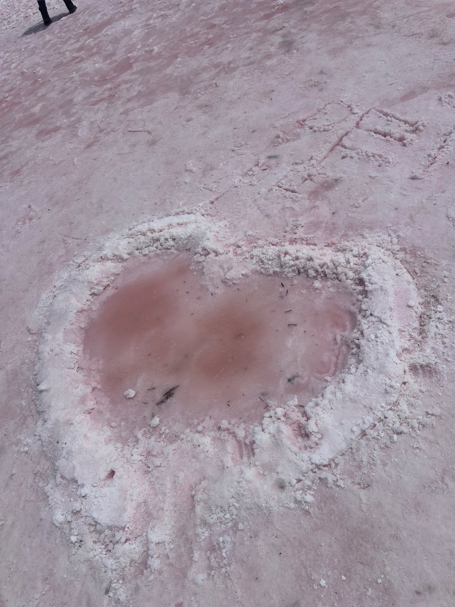 poojitha_91's tweet photo. #PinkLake #BucketListItem #LakeDimboola https://t.co/QaR8KdU7ov