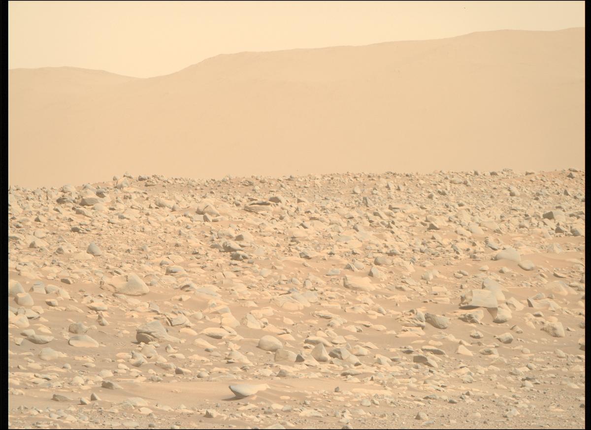 MarsMissionImgs's tweet photo. #PerseveranceRover image taken on #Sol889 at 1:59:36.697 PM with #MastcamZ #Mars #NASA #Space https://t.co/ckfNT9nWwN