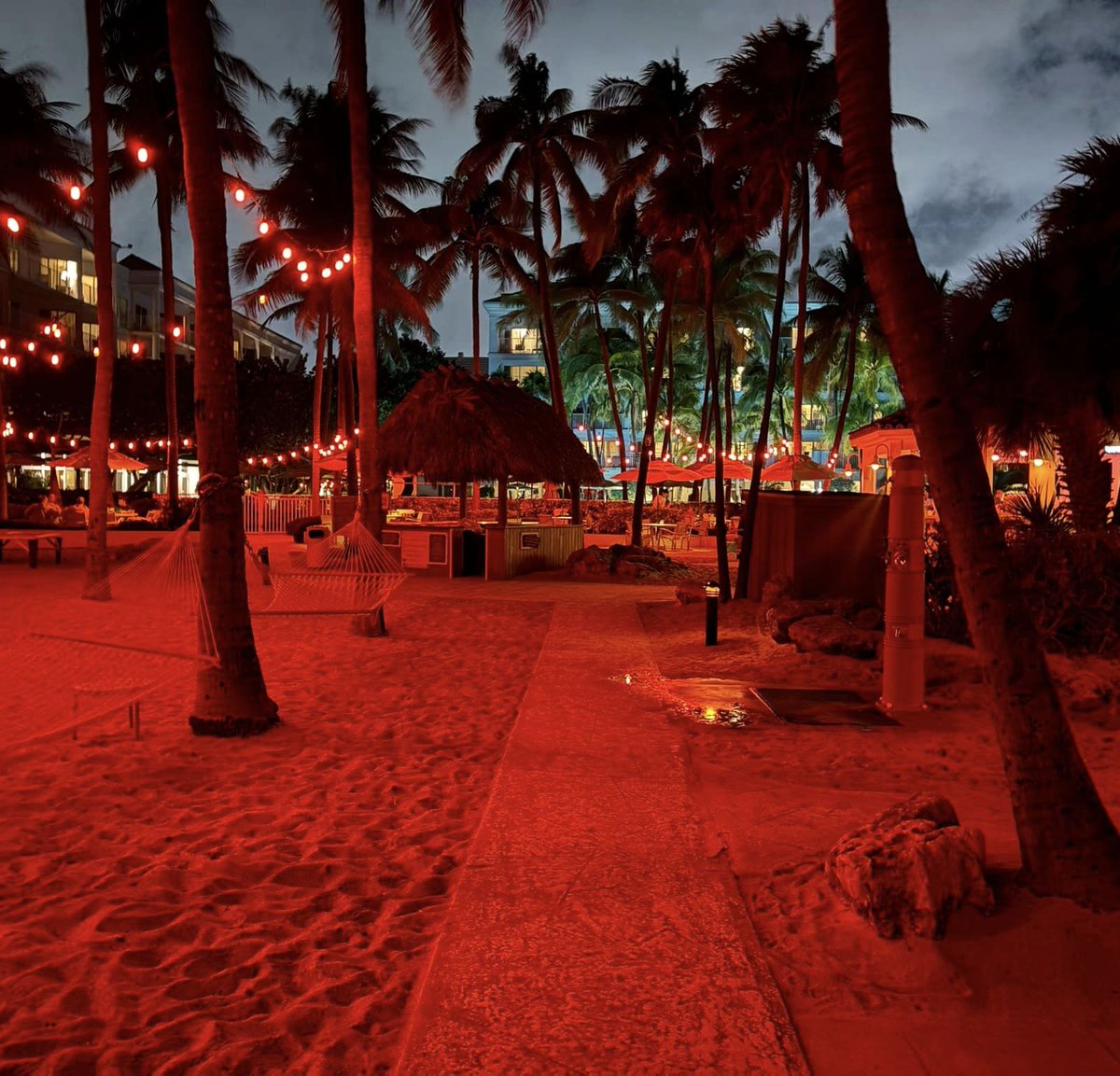 LagoMarResortFL's tweet image. Our amber turtle-safe lights really make the grounds glow after dark! 
These special lights help guide hatchlings away from artificial light sources and towards the natural glow of the moon and stars.#mylagomar #fortlauderdalebeach #seaturtlenesting (pic @markvz)