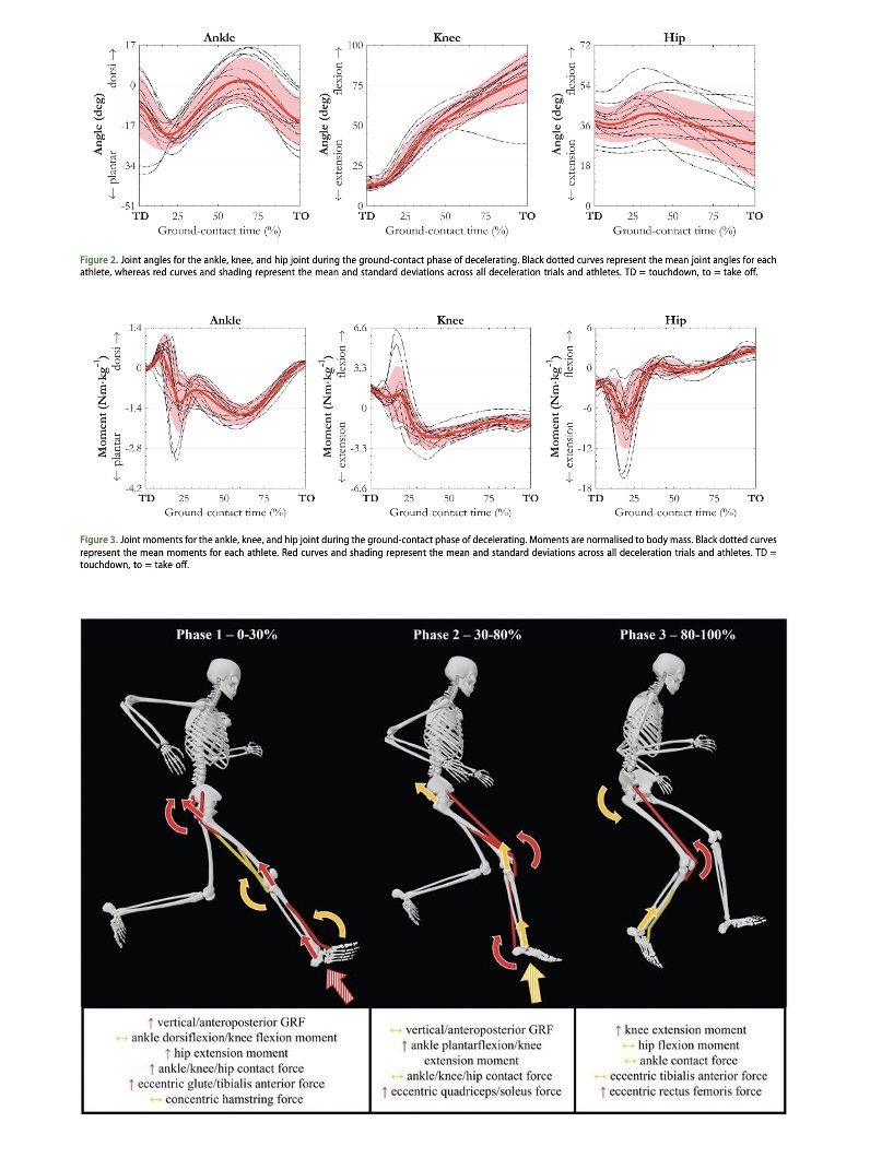Specialized Training™️ (@tatopek1) on Twitter photo 🆕"This study provides an empirical explanation for why decelerating movements are amongst the most challenging in team sports"
➡️ Relevant to inform DEC-specific training prescription in elite ⚽️
👉<a href="/jasper_verheul/">Jasper Verheul</a> <a href="/DHMov/">Damian Harper, PhD</a> <a href="/mrobbo18/">marobinson</a> 2024 🇳🇱
📂Open Access: tandfonline.com/doi/epdf/10.10… 🆕"This study provides an empirical explanation for why decelerating movements are amongst the most challenging in team sports"
➡️ Relevant to inform DEC-specific training prescription in elite ⚽️
👉<a href="/jasper_verheul/">Jasper Verheul</a> <a href="/DHMov/">Damian Harper, PhD</a> <a href="/mrobbo18/">marobinson</a> 2024 🇳🇱
📂Open Access: tandfonline.com/doi/epdf/10.10…