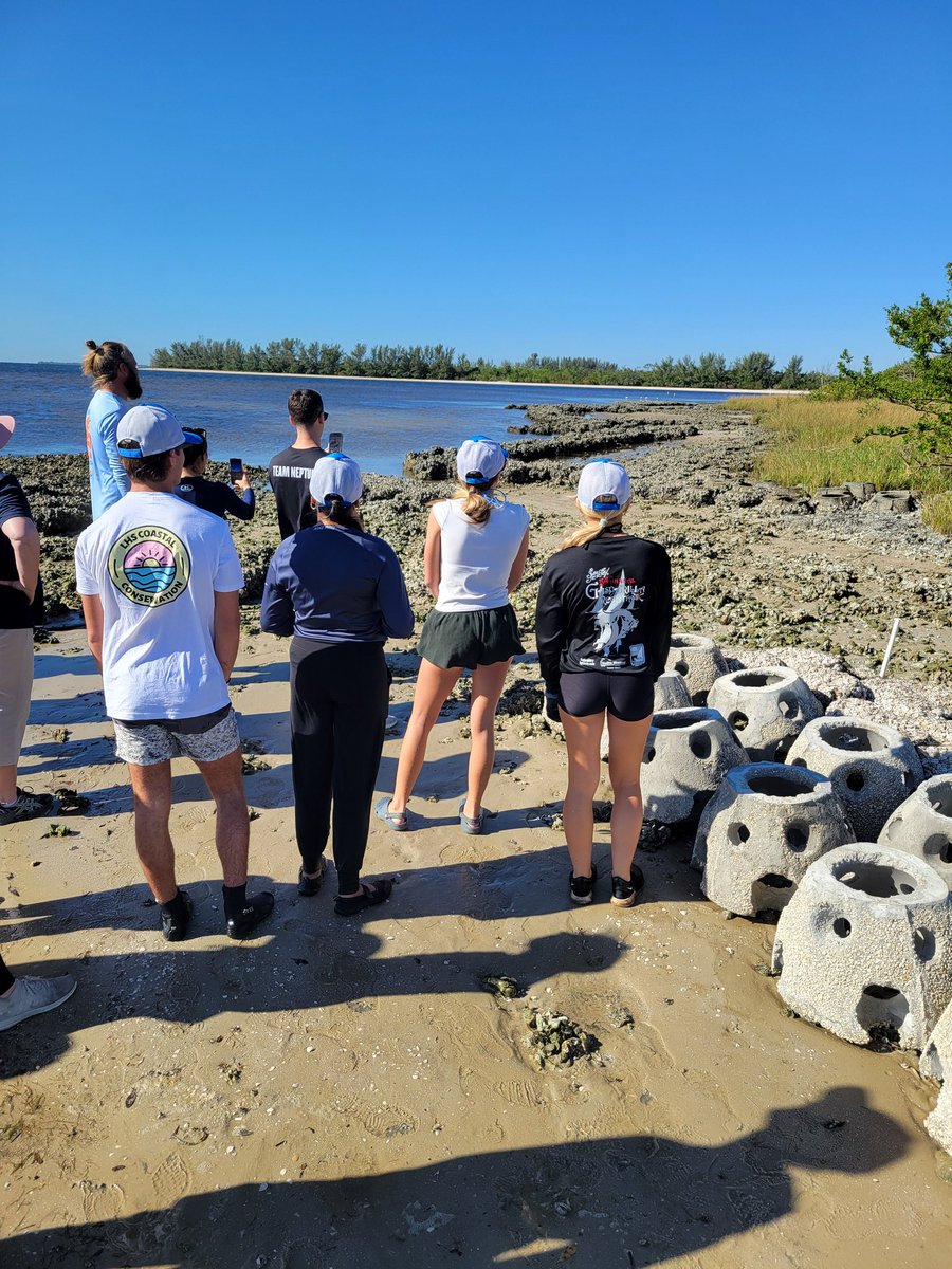 shadowcastfly's tweet image. Living Shoreline Project today. A joint effort between Tampa Bay Watch, @DukeEnergy and @cca_florida to help the southern shore of Fantasy Island in Tampa Bay. Members of the @LennardHigh Coastal Conservation Club got some volunteer time lugging reef balls and oyster shell bags.