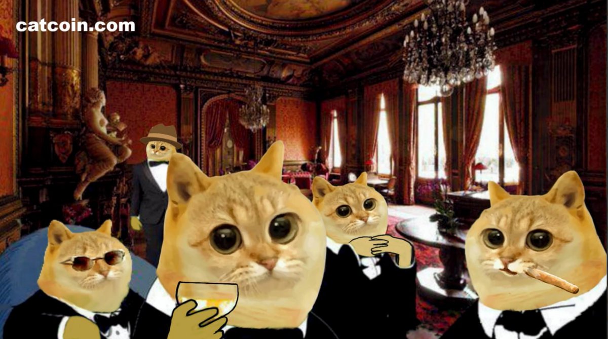 CatCoin tweet media